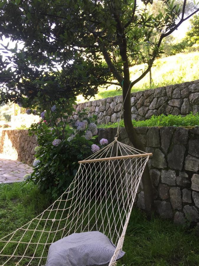 Gli Amici Di Carla Hotel La Spezia Kültér fotó