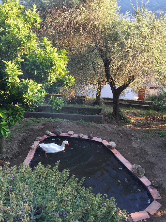 Gli Amici Di Carla Hotel La Spezia Kültér fotó
